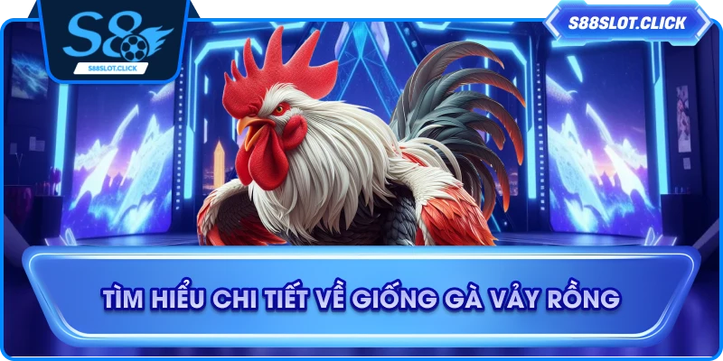 Tìm hiểu chi tiết về giống gà vảy rồng